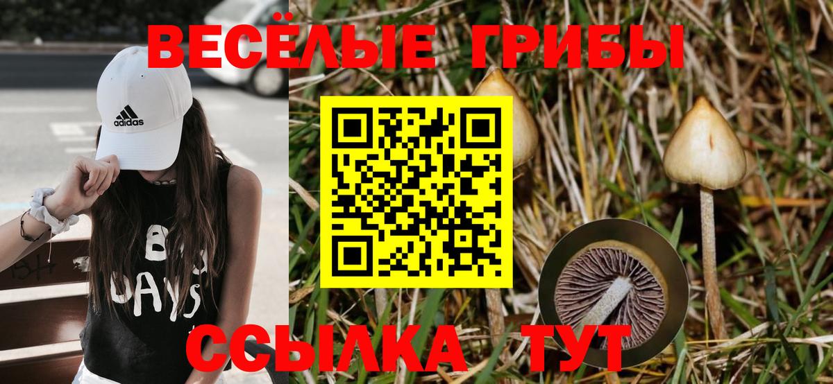 Псилоцибиновые грибы GOLDEN TEACHER  Вход с VPN  Красногорск  Галлюциногенные грибы MAGIC MUSHROOMS 