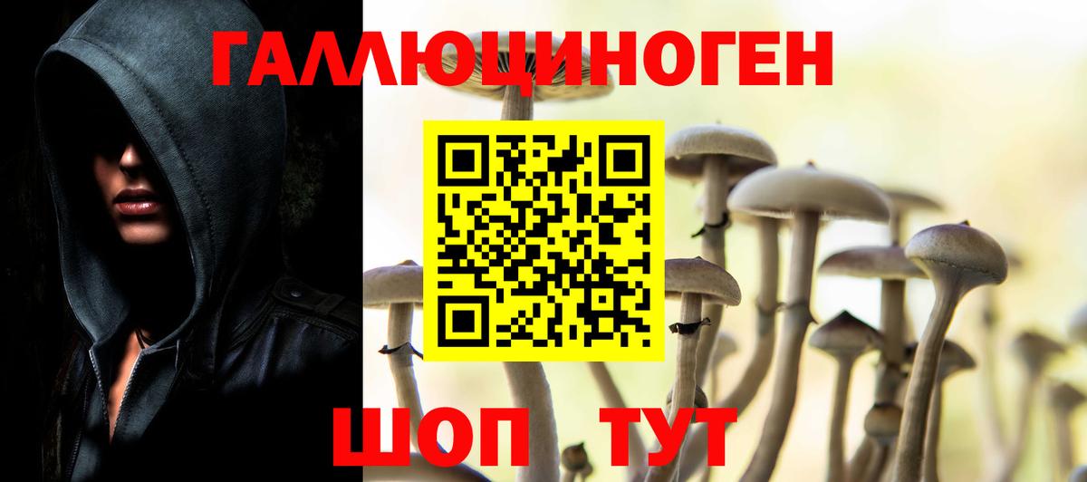 Псилоцибиновые грибы мицелий Красногорск